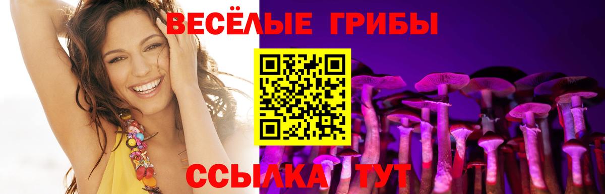 Галлюциногенные грибы Cubensis  Псилоцибиновые грибы GOLDEN TEACHER  Ачхой-Мартан  закладка  Вход с VPN 